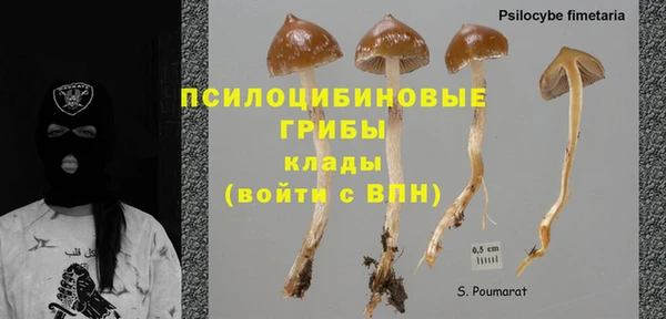 молекула духа Сафоново