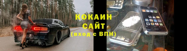 стафф Алексин
