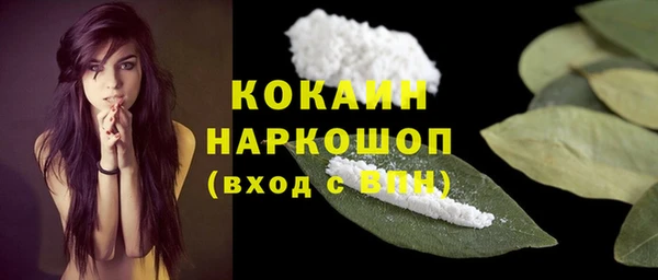 стафф Алексин